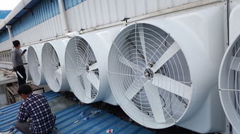 风机排风设备价格 优质风机排风设备批发 采购